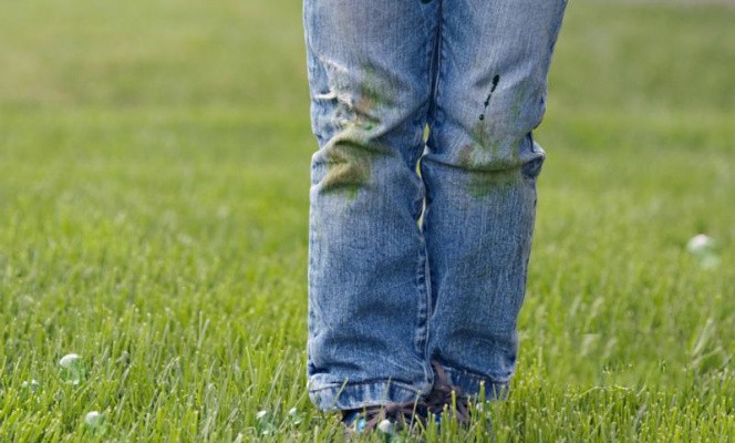 Способы отстирать траву с джинсов: самые действенные