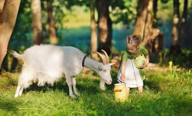 Ребенок с козой